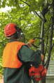 Picture of Sramatore Oleomac EP 100
