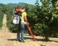 Picture of Aspiratore Cifarelli V77SD