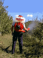 Picture of Atomizzatore Cifarelli M 3 PSRA