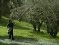 Picture of Scuotitore a gancio Cifarelli SC 800
