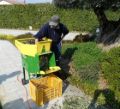 Picture of Defogliatore Zanon d-30