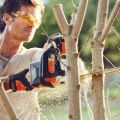 motosega stihl msa 120 cbq batteria Compact