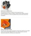 Decespugliatore Stihl FS 111 R