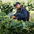 Tagliasiepi a batteria Stihl HSA 94 