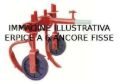 Estirpatore a 6 ancore