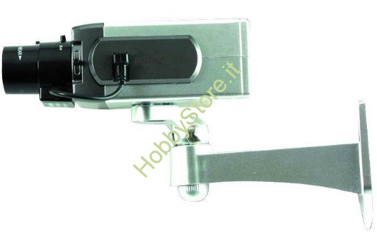 Picture of Telecamere Finte