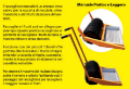 raccoglitore manuale olive