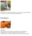 Aspirafoglie Stihl SH 86