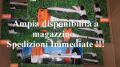 Decespugliatore Stihl giocattolo
