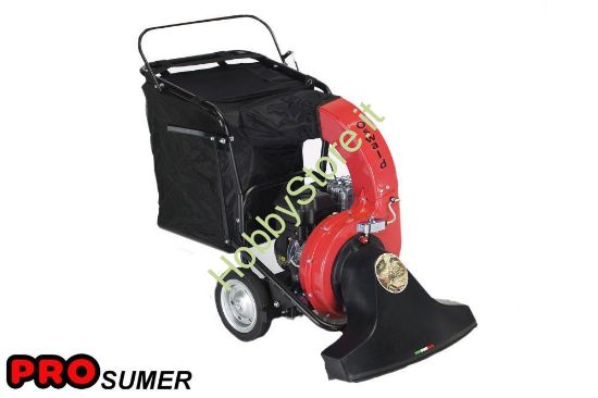 Aspirafoglie professionale Oswald Agrinova