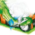 Rasaerba Stihl RM 756 YS a trazione idrostatica
