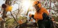 Motosega Stihl MS 150 TC-E