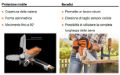 Seghetto Stihl Gta 26 a batteria