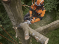Motosega a batteria Stihl MSA 220 T senza batteria