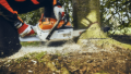 Motosega a batteria Stihl MSA 300 senza batteria