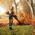 Soffiatore Stihl BR 700