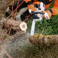 Motosega Stihl MS 201 TC-M