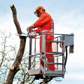 Motosega Stihl MS 201 TC-M