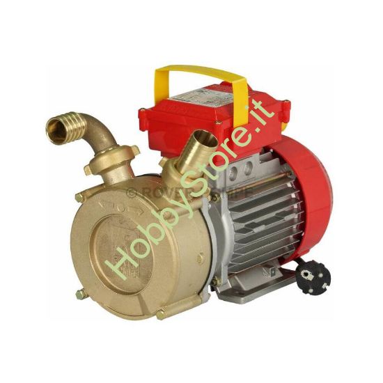 Elettropompa Rover BEM 35