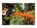 Tagliasiepi a batteria Stihl HSA 130 R 60 cm senza batteria e caricabatterie