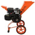 Biotrituratore Forrest Master FM6DD