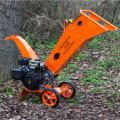 Biotrituratore Forrest Master FM6DD
