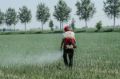 Atomizzatore Cifarelli L3EVOEU