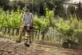 Mototrivella Stihl BT 131 