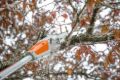 	Potatore Stihl HTA 50 a batteria con 1 AK 20 e 1 AL 101