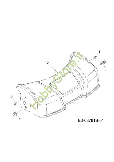 Picture of Carter protezione G 55 VBX 4-IN-1 Cat. 2010 Rasaerba