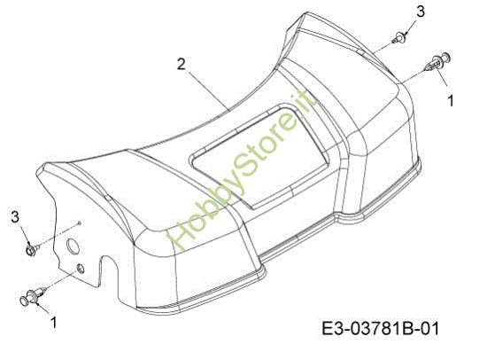 Picture of Carter protezione G 55 VBX 4-IN-1 Cat. 2013 Rasaerba