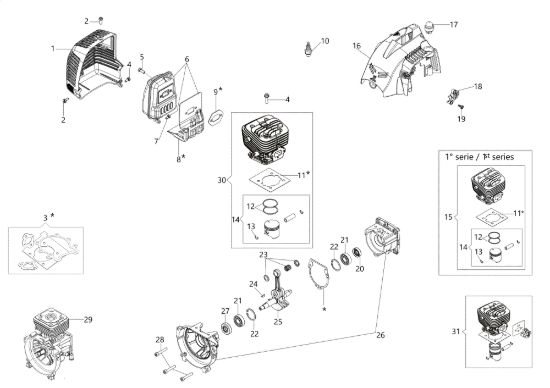Picture of Motore DS 3000 S Decespugliatore