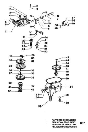 Picture of Riduttore TR 1581 R Mototrivella