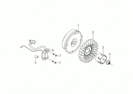 Picture of Volano e bobina DR 65 (K1100 H) Trinciasarmenti