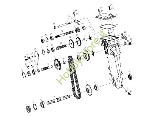 Picture of Ingranaggi (1/2) MZ 2097 RKS (K800 HC) Motozappa