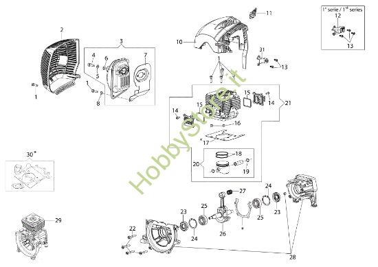 Picture of Motore DS 5500 BOSS Decespugliatore