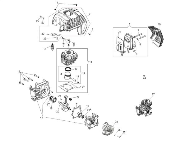Picture of Motore DSH 5000 T Decespugliatore