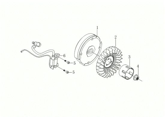 Picture of Volano e bobina 118 (K900 HR) - EURO5 Motozappa