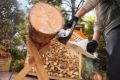 Motosega Stihl MSA 80 C-B a batteria