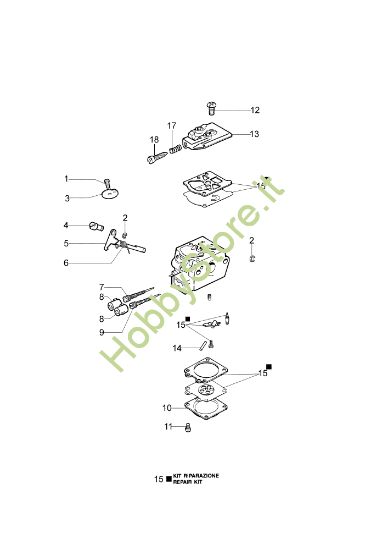 Picture of Carburatore WT-870 DS 4200 S (Euro1 / Euro2) Decespugliatore