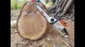 Elettrosega Stihl MSE 190 C