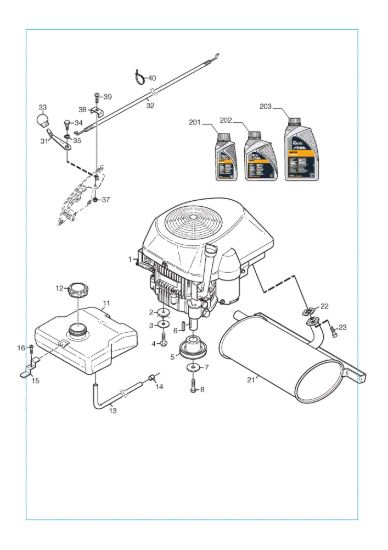 Picture of Motore