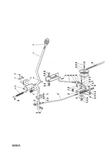 Picture of Innesto Piatto di Taglio