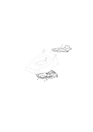 Picture of Carter Cinghia