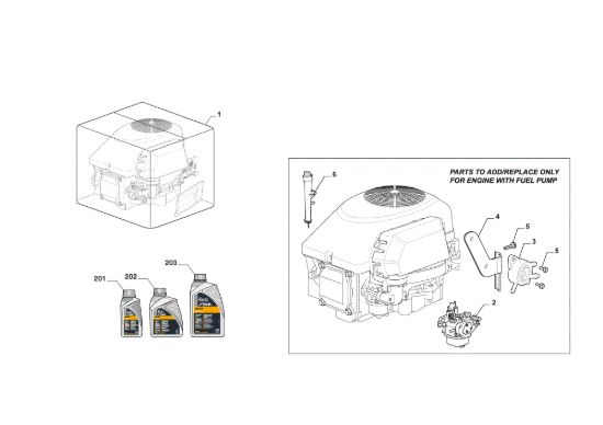 Picture of Motore Completo, Pompa Benzina