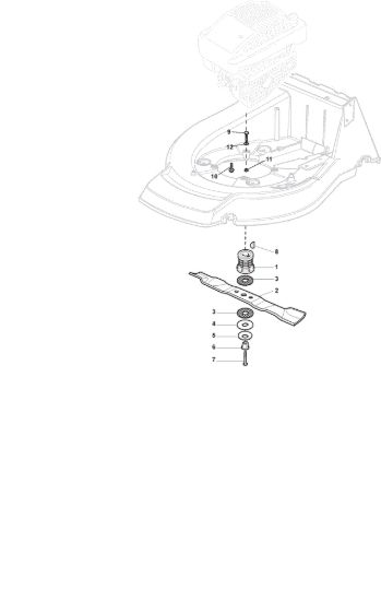 Picture of Coltello (Lama)