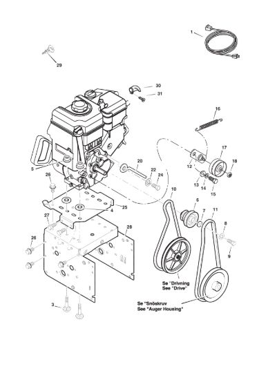 Picture of Motore