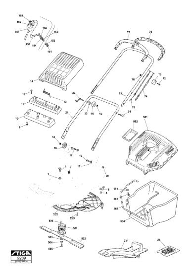 Picture of Chassis e Manico