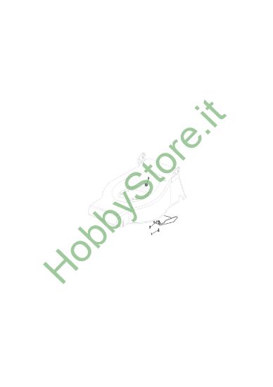 Picture of Carter Cinghia