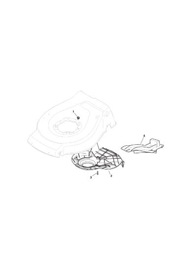 Picture of Carter Cinghia